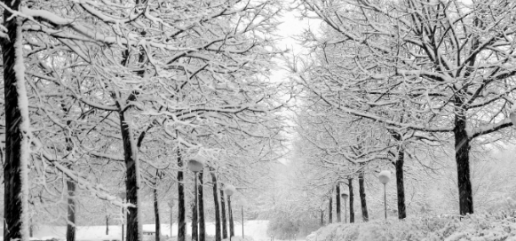 Winter's Effect On Whole Health
