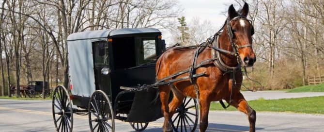 autism and the amish community