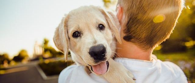 Our Healing Relationships With Pets