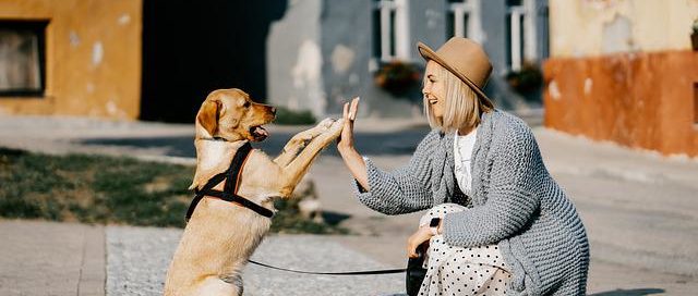 Our Love Affair With Pets