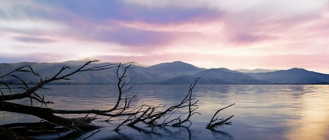 Loneliness and Isolation Affect Our Health